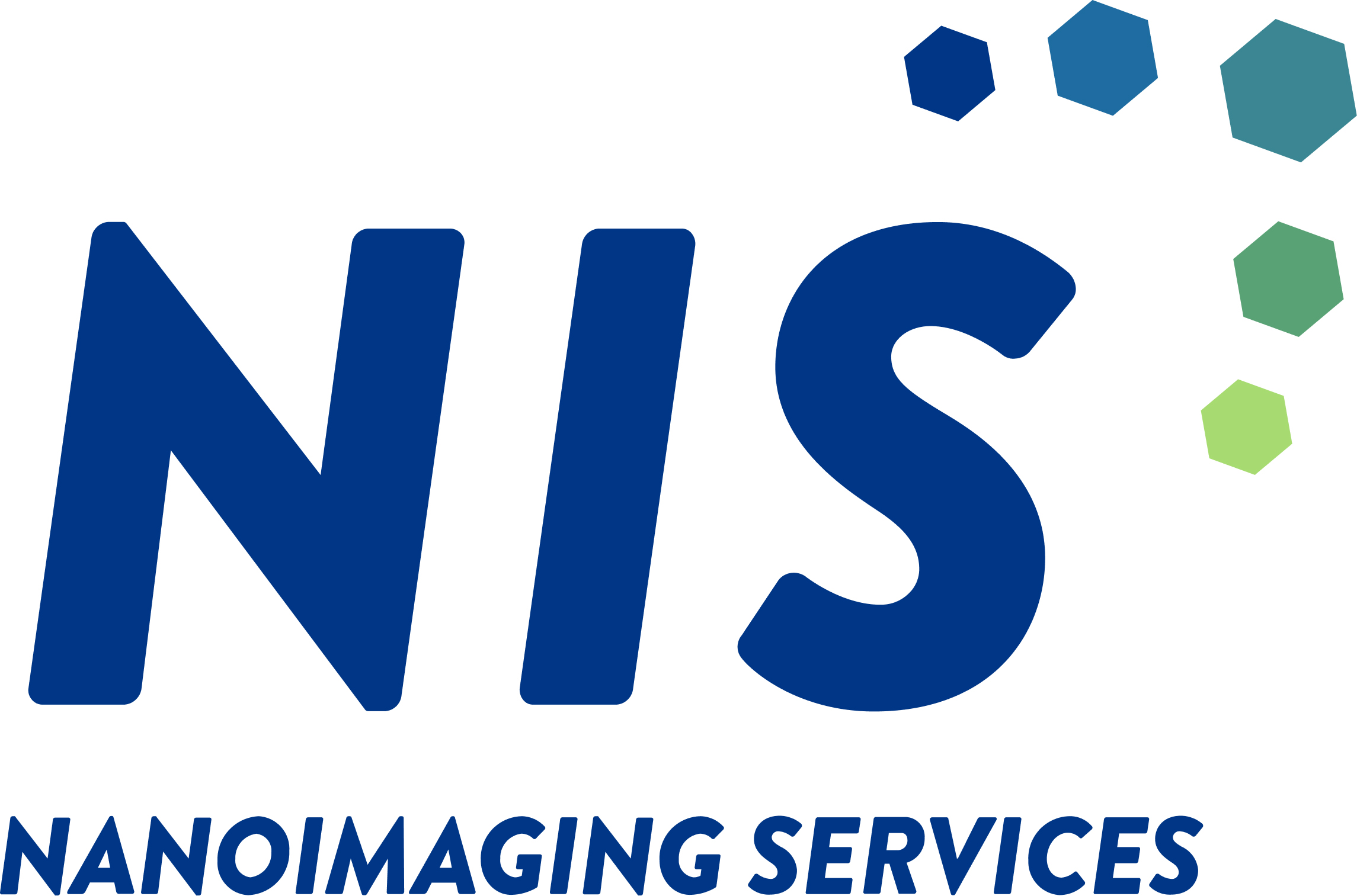 NIS Color Logo with Tagline